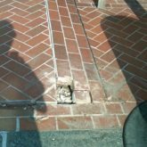 Buckled Pavers in Plaza Deck