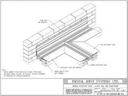 Expansion Joint Details: RoofJoint Deck to Tee Transition Mid-Wall Expansion Joint EMSEAL
