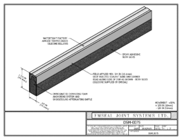 DSM_0075-DSM-System-Expansion-Joint-3D-DWF-File