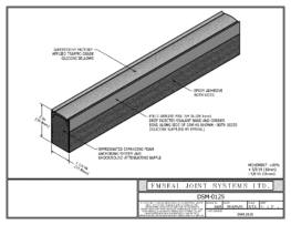 DSM_0125-DSM-System-Expansion-Joint-3D-DWF-File