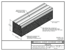 DSM_0325-DSM-System-Expansion-Joint-3D-DWF-File