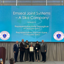 Sika Emseal President Accepting MA Manufacturing Award